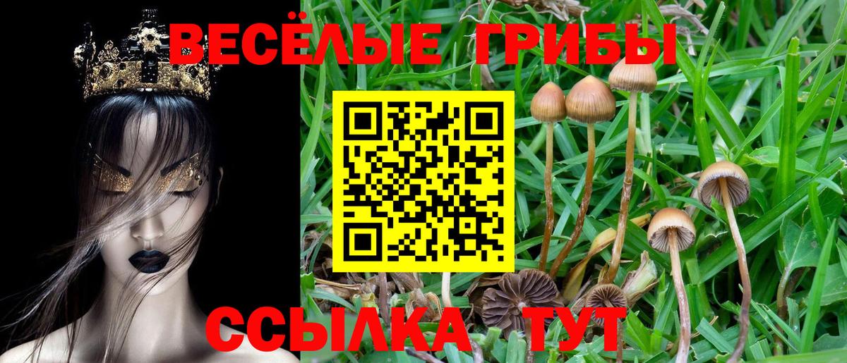 Псилоцибиновые грибы Magic Shrooms Воткинск