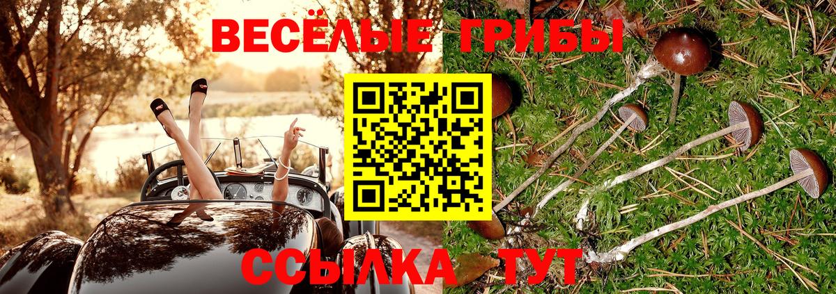 Галлюциногенные грибы мицелий  Вход с VPN  Воткинск 